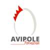 Avipole Formation