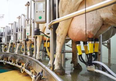 ADF MILKING France