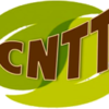 CNTT