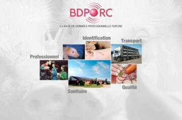 BDPORC