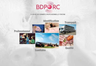 BDPORC